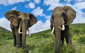 Indalu Game Reserve